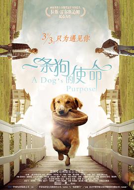 国产精品乱综合在线